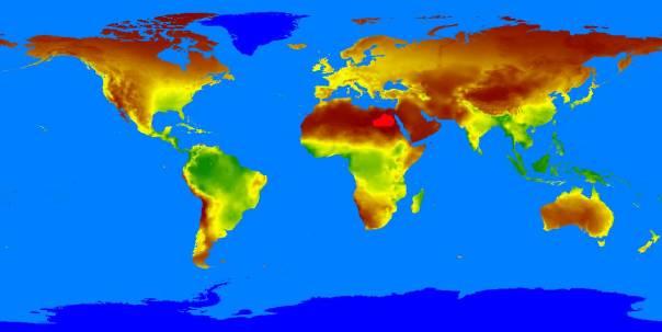 Global Npp